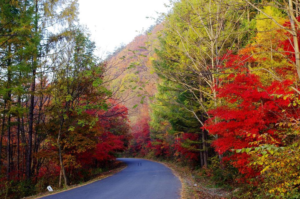 十一沿途风景,十一去红叶谷的景致