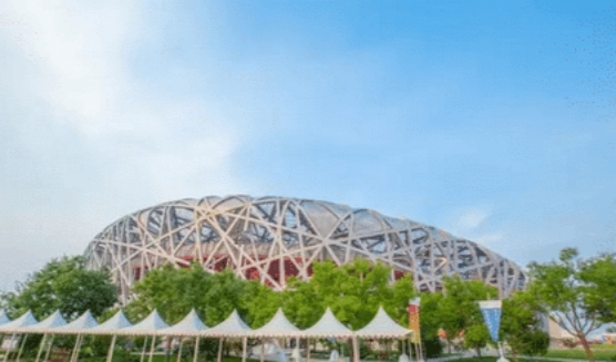 北京奥运会鸟巢建造过程,鸟巢奥运会项目是谁建造的