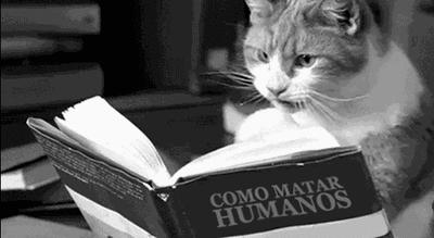 4岁宝宝学英文单词怎么学都不会,小孩英文单词从哪学起