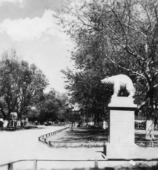 孙名齐：哈尔滨，一座年轻但绝不青涩的浪漫都市