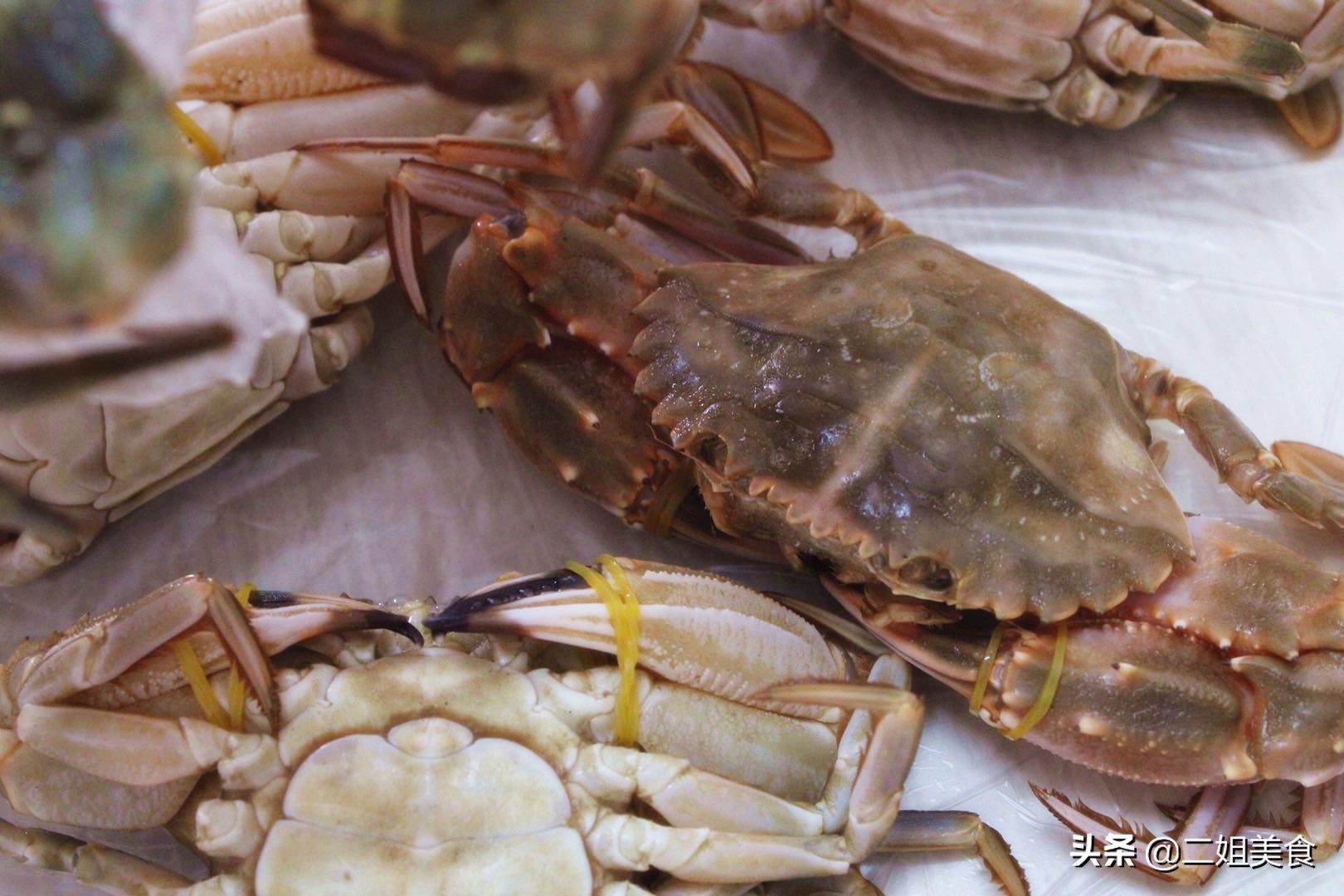 螃蟹买黄色的好还是买青的好,买螃蟹需要注意什么怎么选