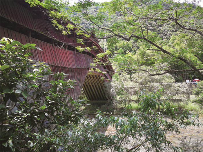 物微意不浅感动一沉吟——植物诗词隐含的生态思想及教育意义