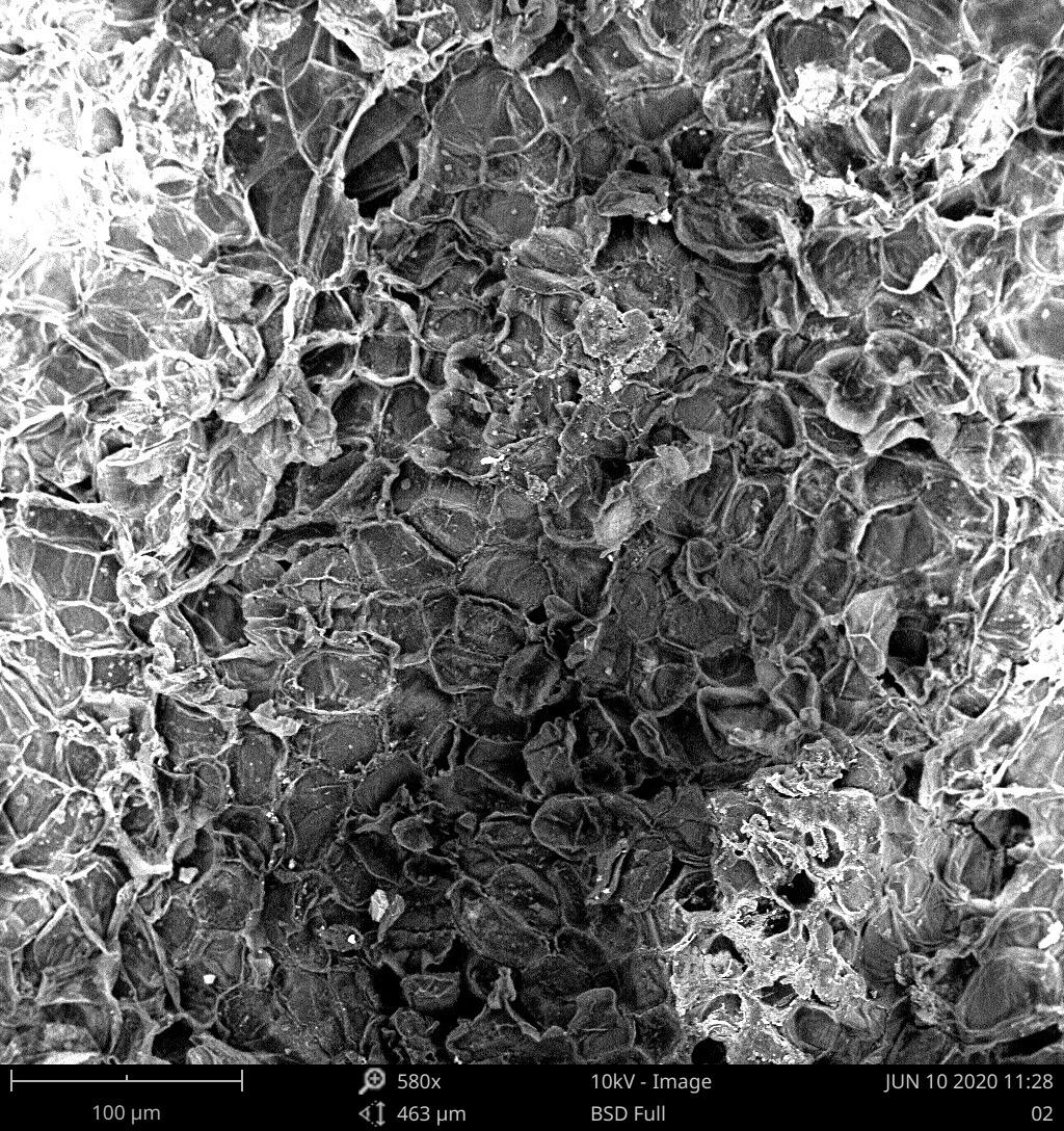 扫描电镜不导电样品需要怎么处理,扫描电镜不导电的样品拍出来模糊