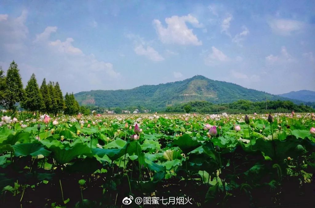 池州藏最新原生态避暑地，荷花海石海瀑布禅寺，不知名无门票却美