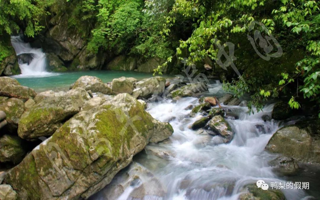 自驾车游遍中国之（一）——世界那么大，我想去神农架