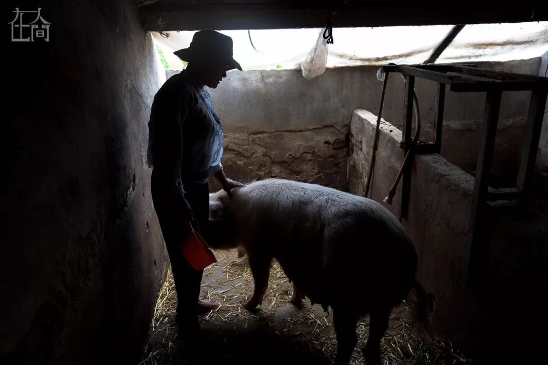 在人间丨情趣内衣小镇的乡村女工，每天往返于工厂与田地之间