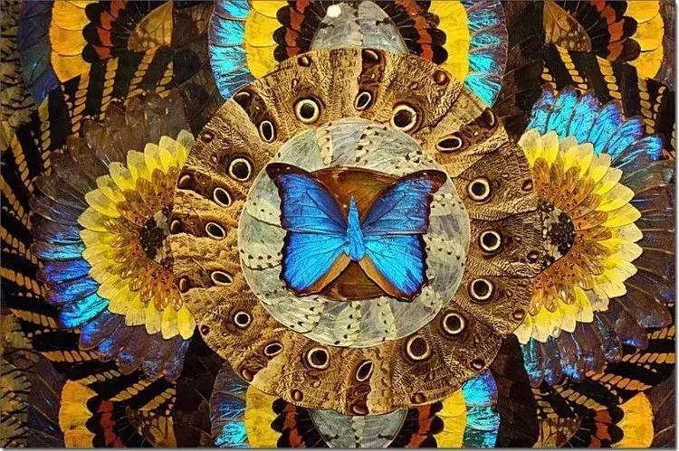 适合遛娃的亲子博物馆,周末遛娃好去处自然博物馆