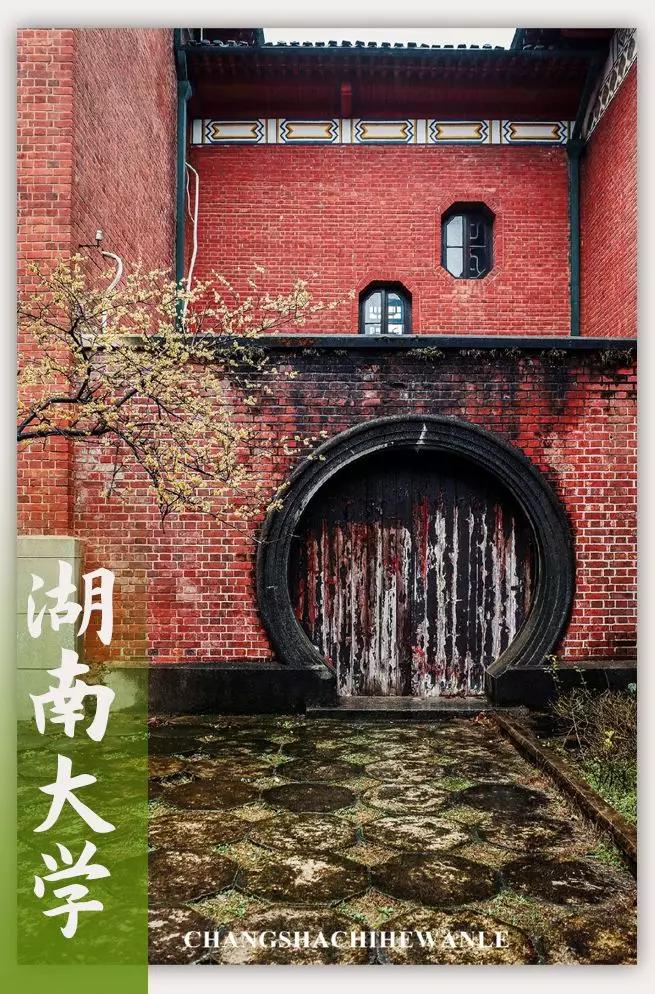 母校我想你,想你母校