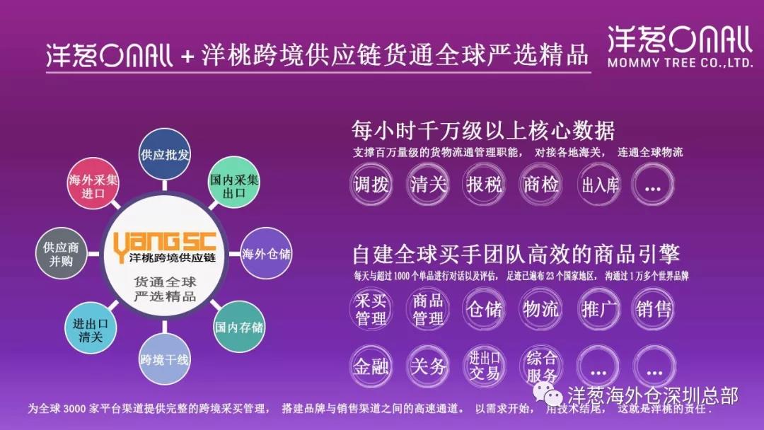 洋葱的经营方法,洋葱创业史