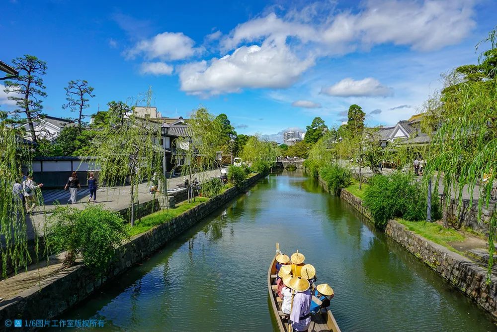 华高莱斯,华高莱斯武汉