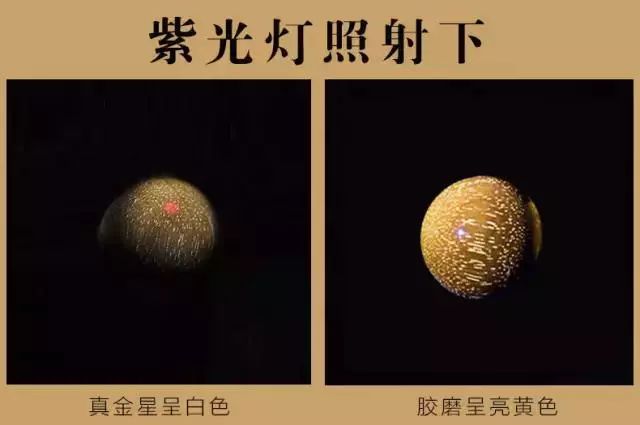 紫檀的真实身份,紫檀的一生