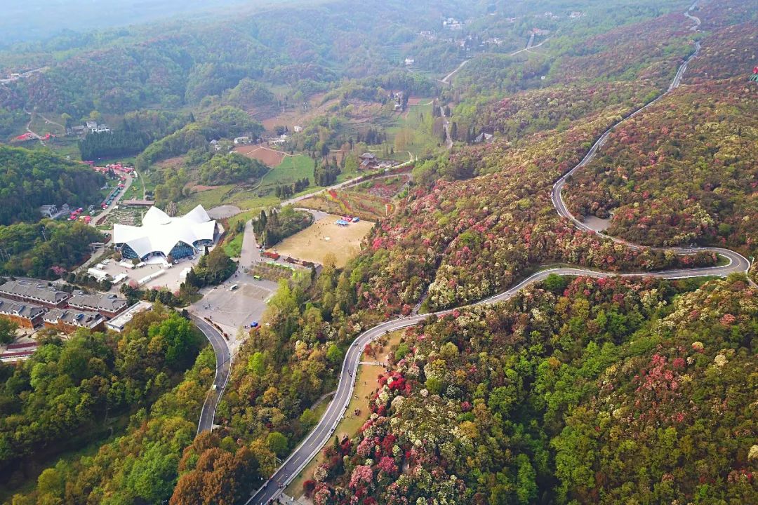 贵州有好多景点,贵州今年比较火的景点
