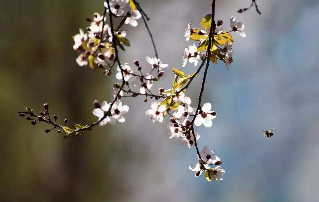 世间最美好的事不过一盘人间烟火,世间最浪漫的事也不过如此