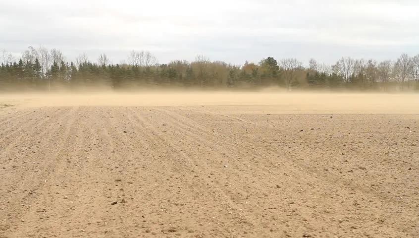 如何应对雾霾天气英语,沙尘暴要注意什么的英语