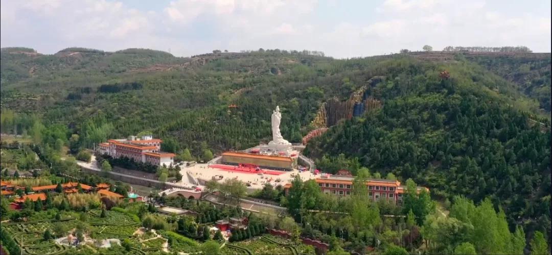 古县千年牡丹,古县牡丹的视频