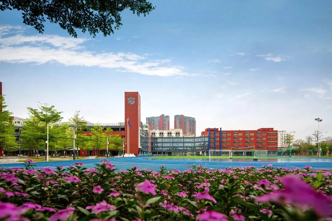 深圳建文外国语学校补录,深圳市建文外国语学校是否转公立