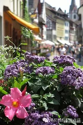 佳能相机镜头基础知识,佳能相机镜头基础知识介绍