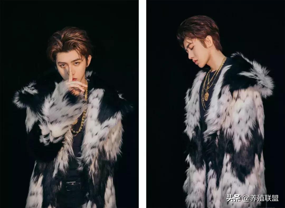 几千和几百的皮衣,一千块可以买什么档次的皮草