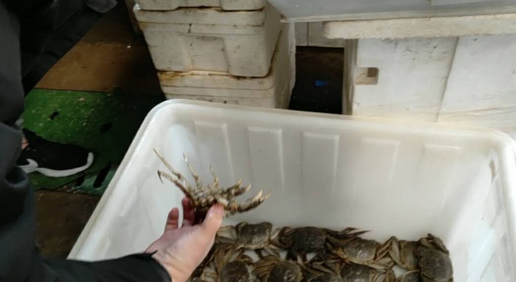 螃蟹大虾海鲜市场,海鲜市场螃蟹哪里最便宜