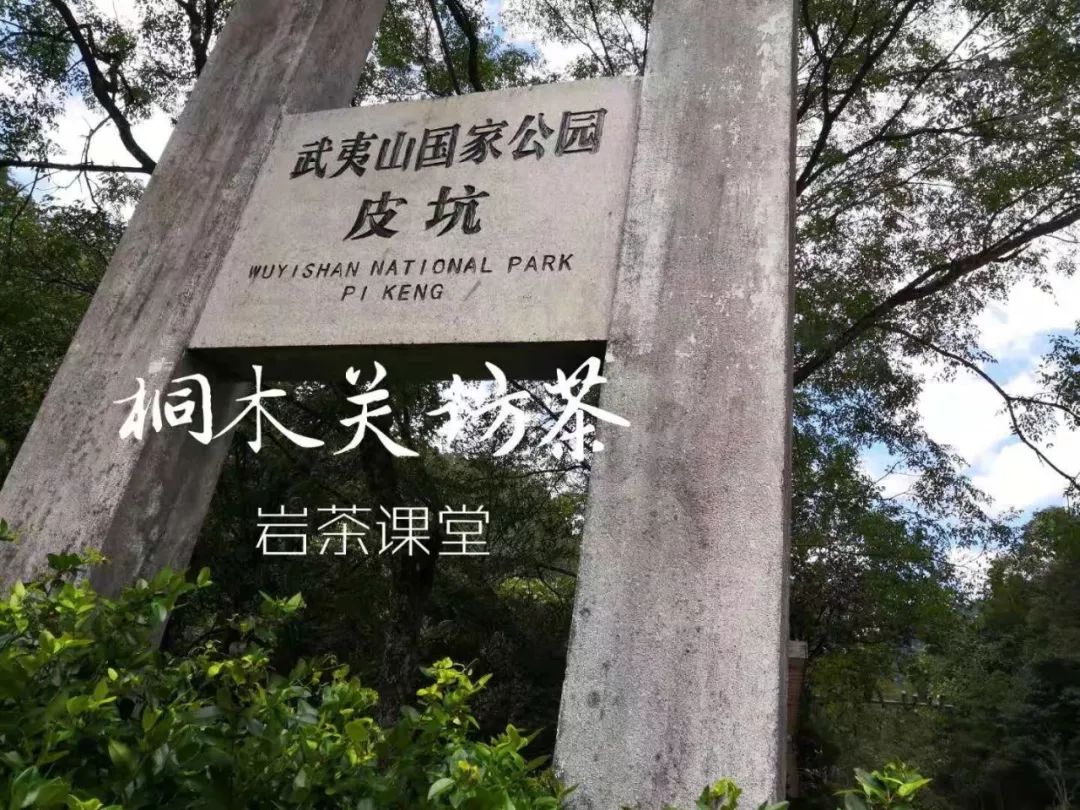 金骏眉茶外观什么样的好,正宗的金骏眉什么颜色