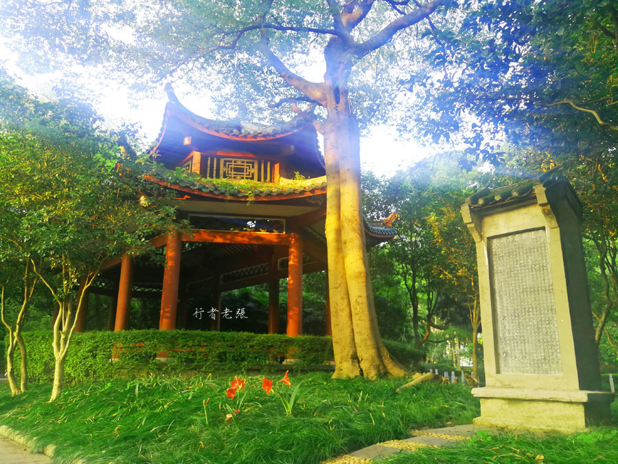 柳州龙潭公园是几a级景区,柳州国家森林公园有哪些景点