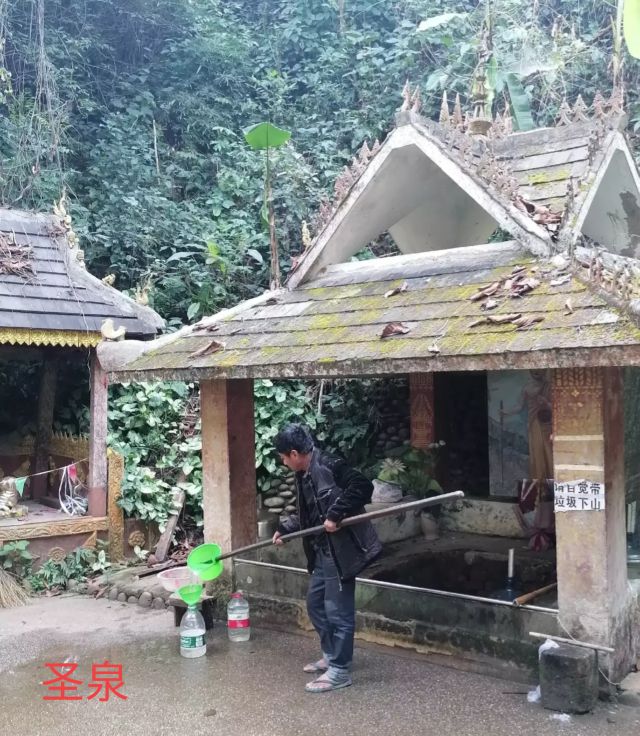 西双版纳景洪市景色壮丽的地方,西双版纳景洪市有什么好玩的景点