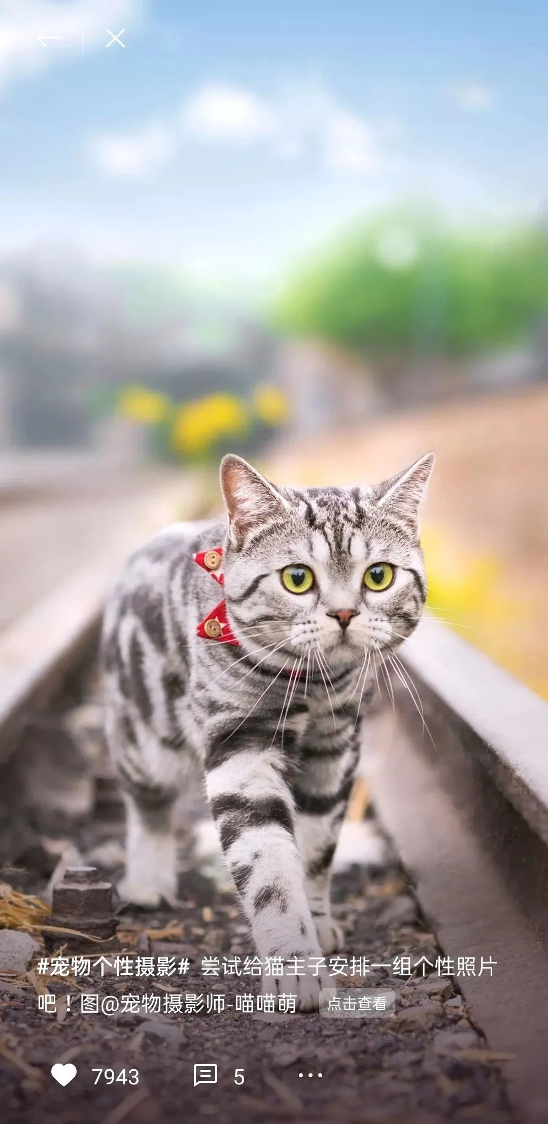 锁屏供稿精选丨大佬，您的作品上线了