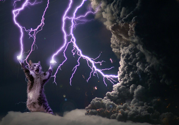 猫静电吸灰小妙招,冬天撸猫有静电怎么办