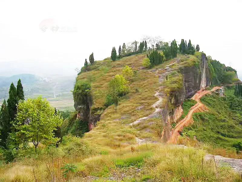 松桃民族中学2021年高考成绩喜报,松桃民族中学2019年高考喜报