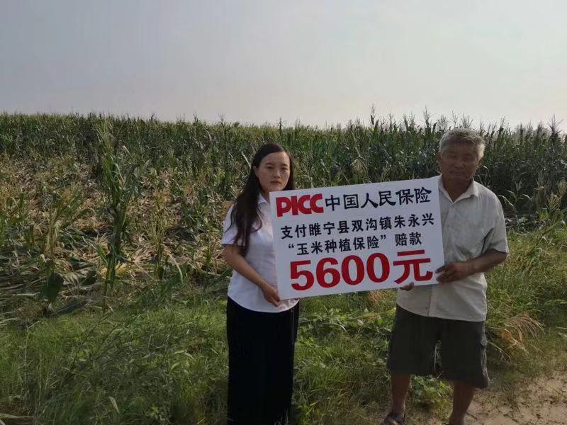 扎扎实实服务乡村振兴战略徐州人保财险创新农险高质量发展纪实