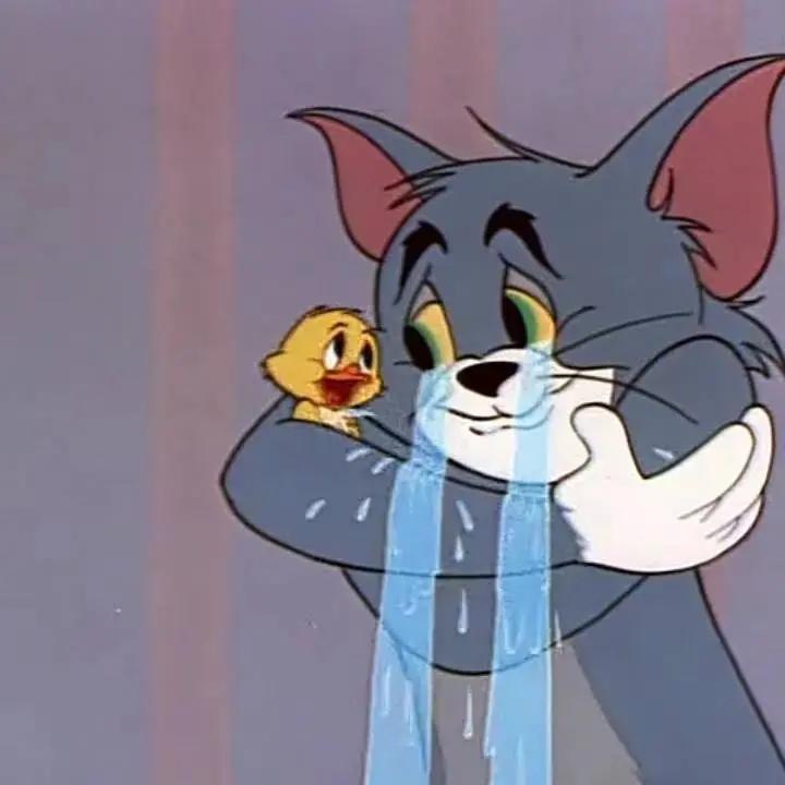 我为什么劝你别学医,在宿舍养猫很后悔