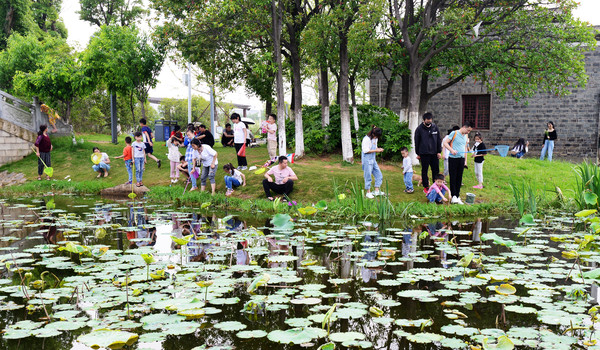 南昌动物园哪里有大象,南昌大象公园