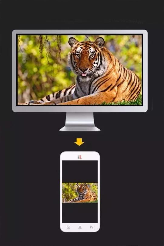 淘宝运营技巧详情,淘宝新手运营实操教程