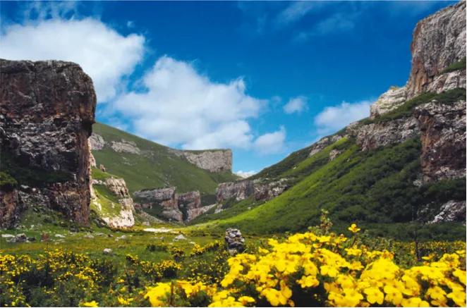 净土天峻高原牧场图片,净土天峻