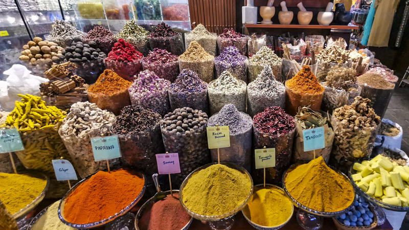 从天空到海洋到大地的视频,从天空到海底绘本