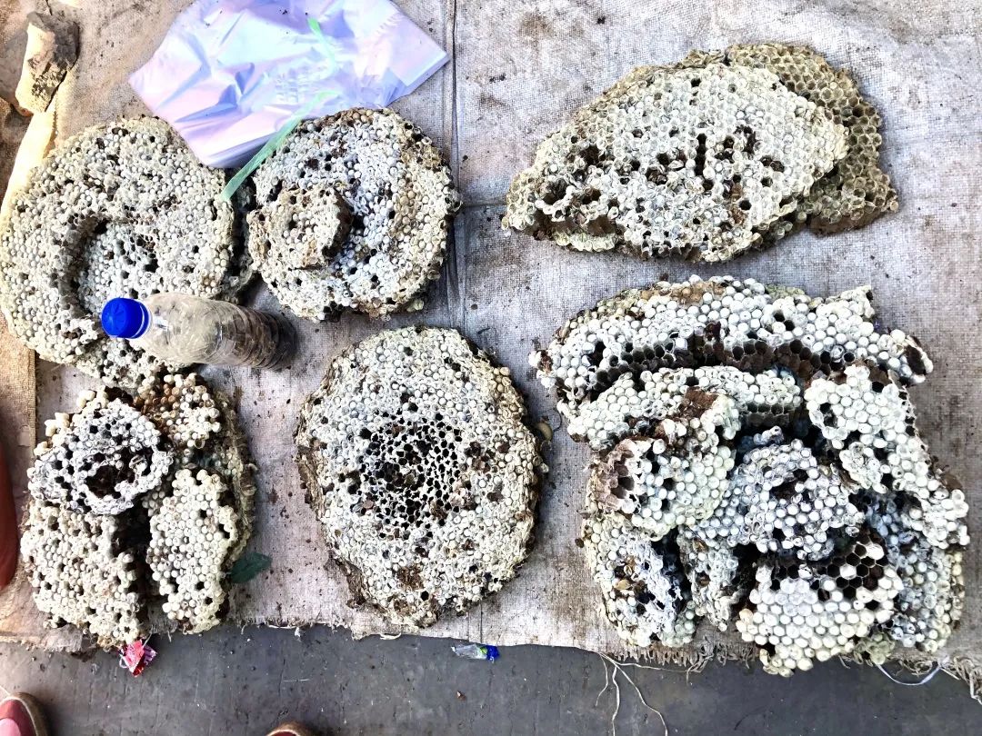 云南人最认同的本地食材,外省人来云南没有见过的菜