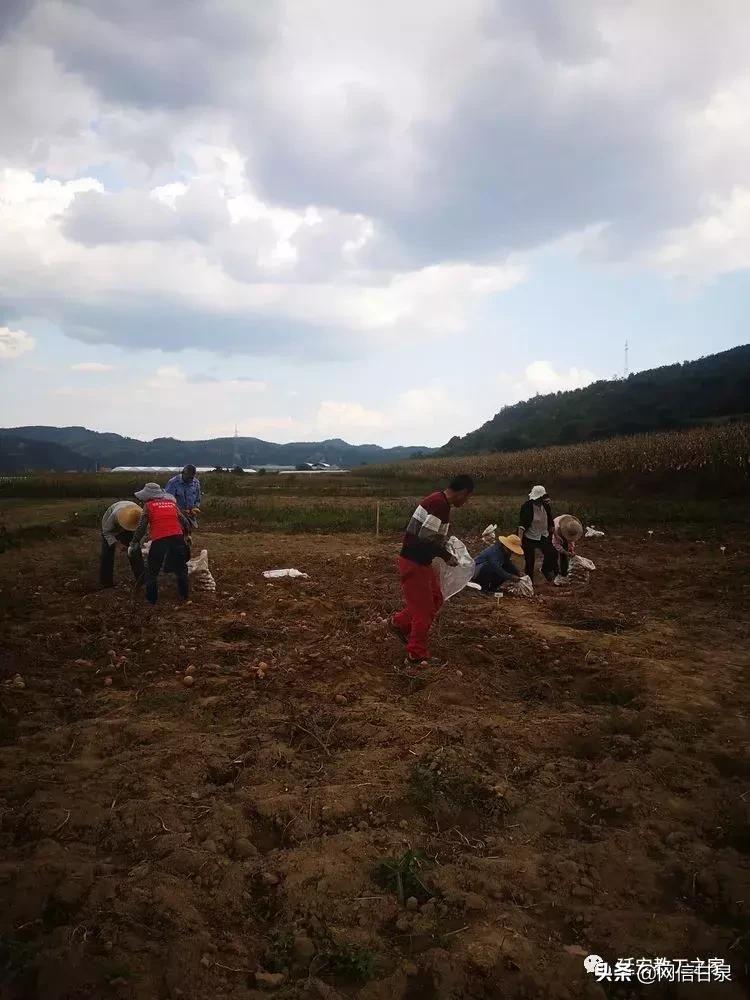 金太阳幼儿园校门,延安市甘泉谢金庄幼儿园