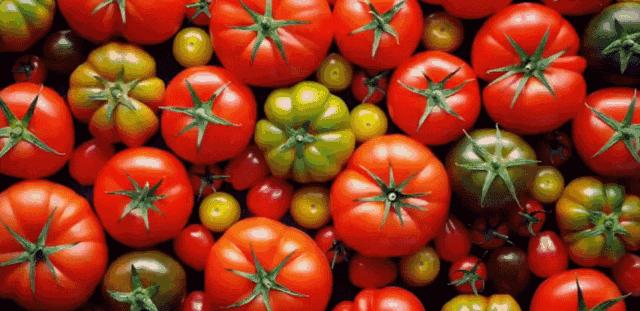 一张嘴就闻到牙臭味怎么办,一张嘴就恶臭怎么回事