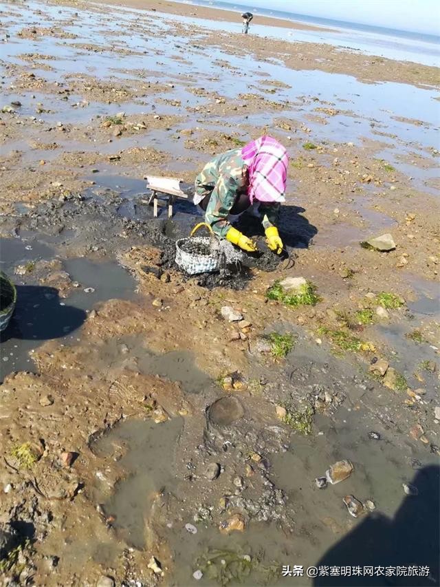 大连广鹿岛住宿十大排名,大连广鹿岛住宿酒店