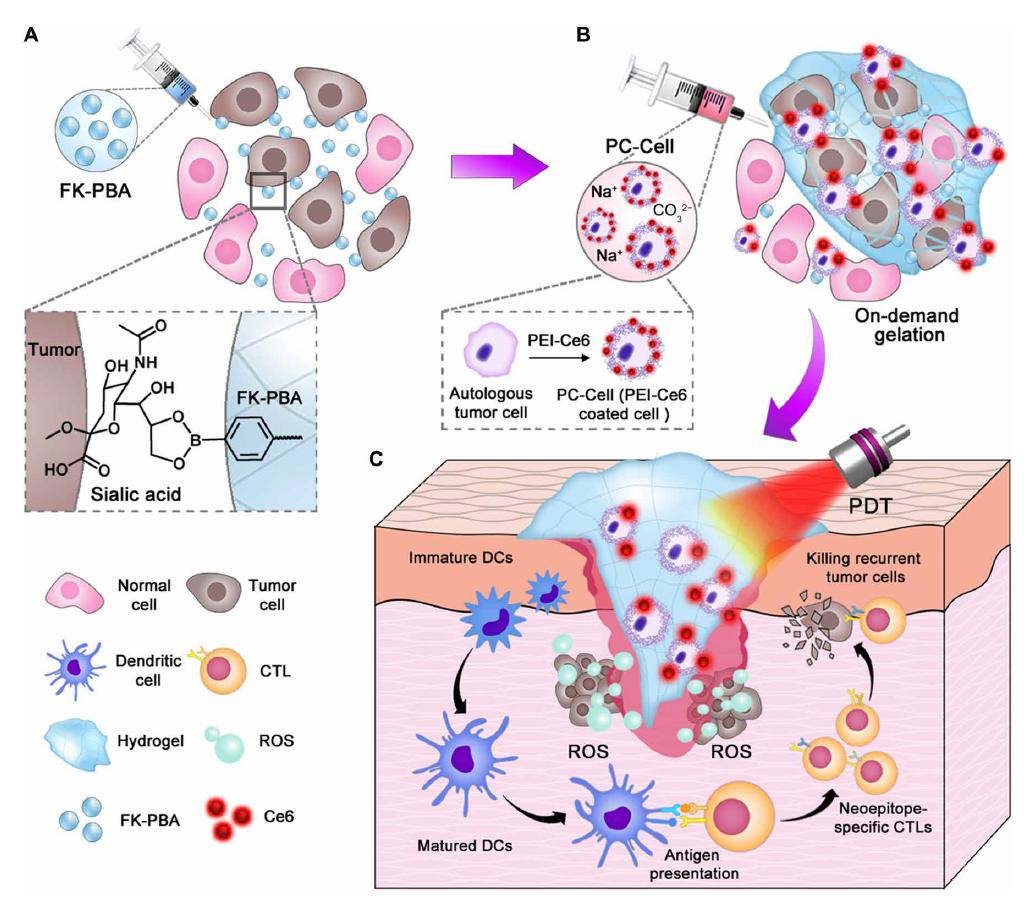 最新癌症疫苗的研发,肿瘤疫苗新突破