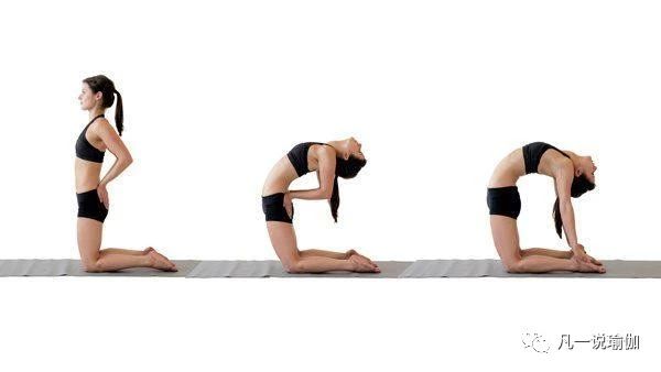 瑜伽轮式怎么做不腰痛,瑜伽轮式后腰疼