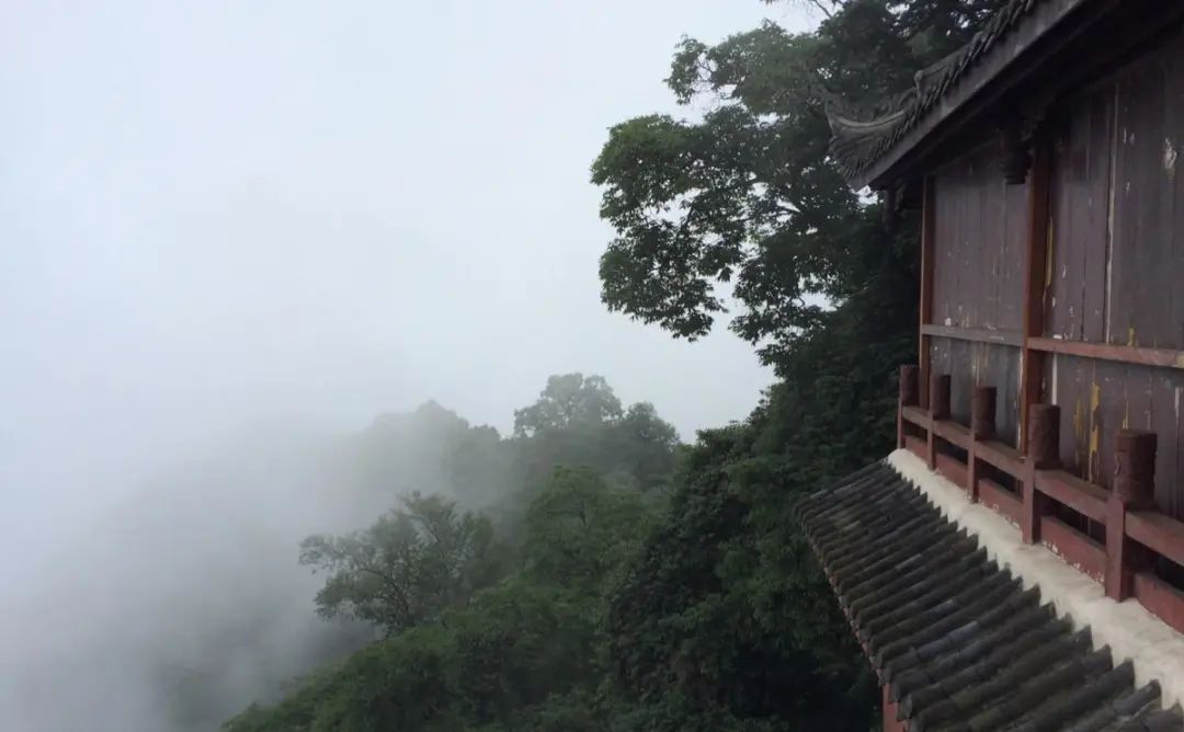 问道青城山赵玉真,问道青城山拜水都江堰