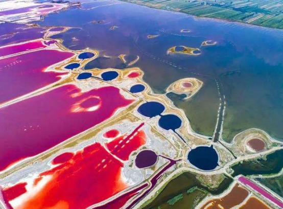 死海会死人吗？中国死海在哪里？