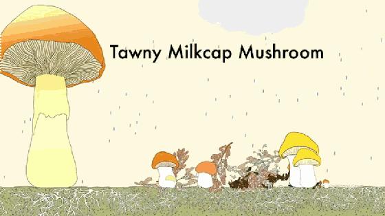 ipad适合四岁孩子玩的app,给孩子的ipad必备app