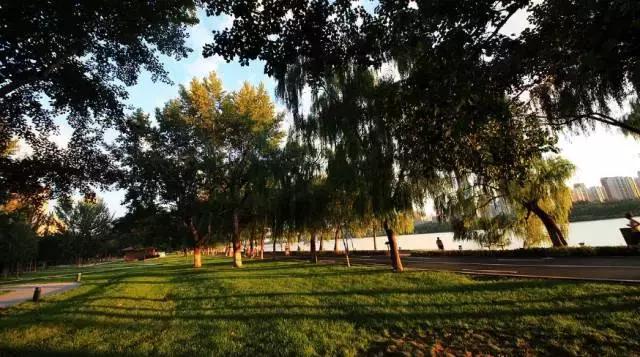 长白岛学校最新规划,长白岛规划幼儿园