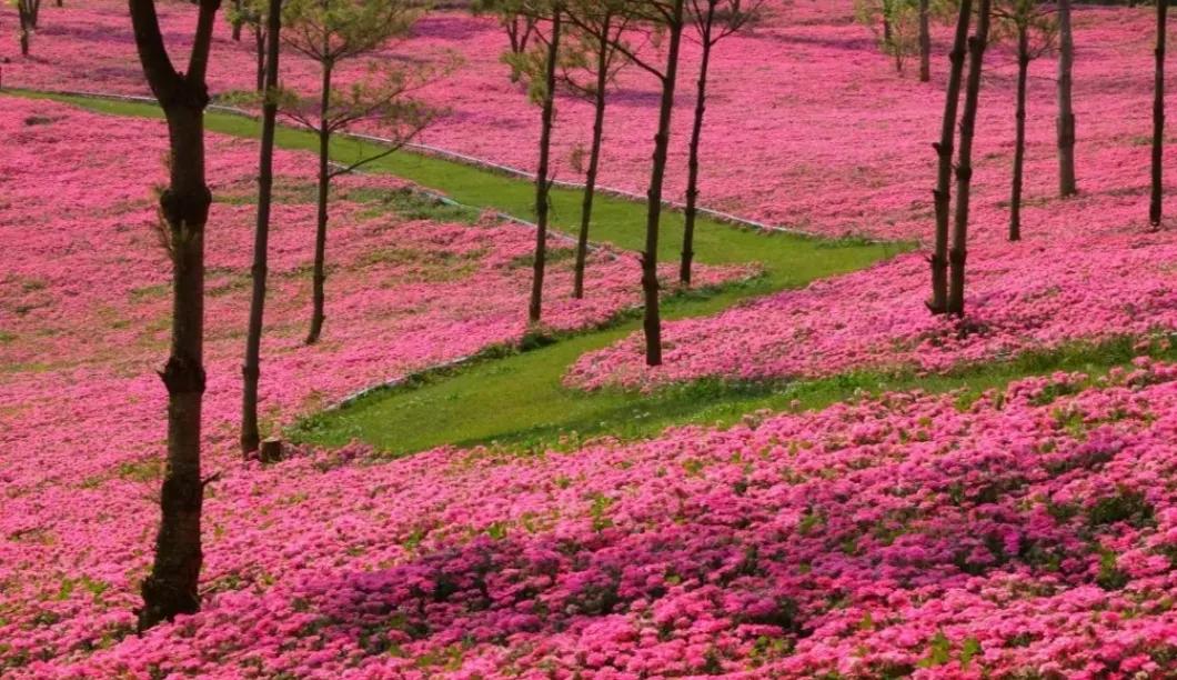 弥勒就业前景怎么样,弥勒适合宜居养老
