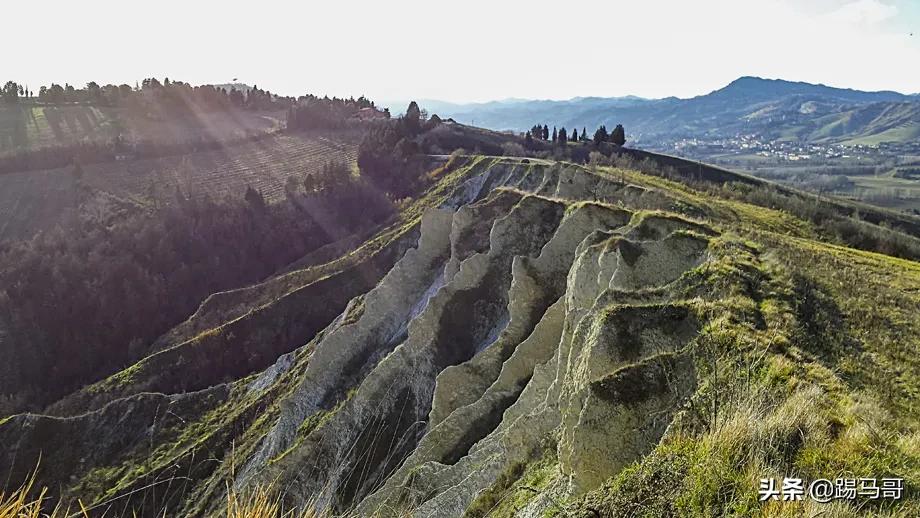 诗人但丁个人简介,意大利文艺复兴的先驱