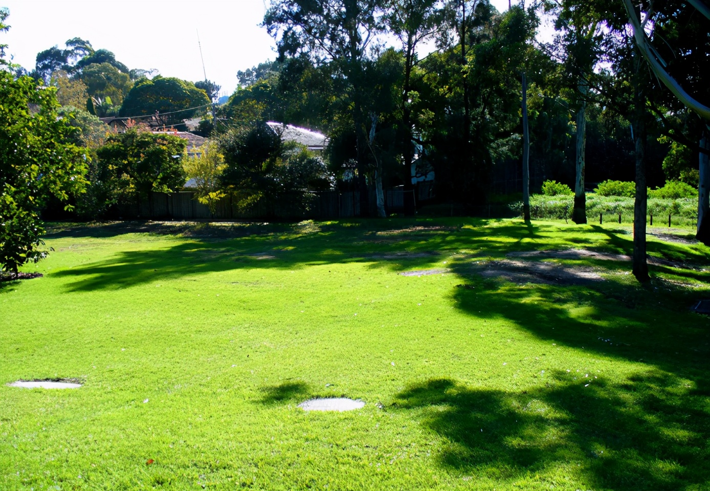 草皮交易平台,草坪交易