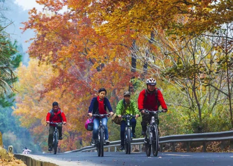 温州适合骑行的地方,温州最适合骑行的地方