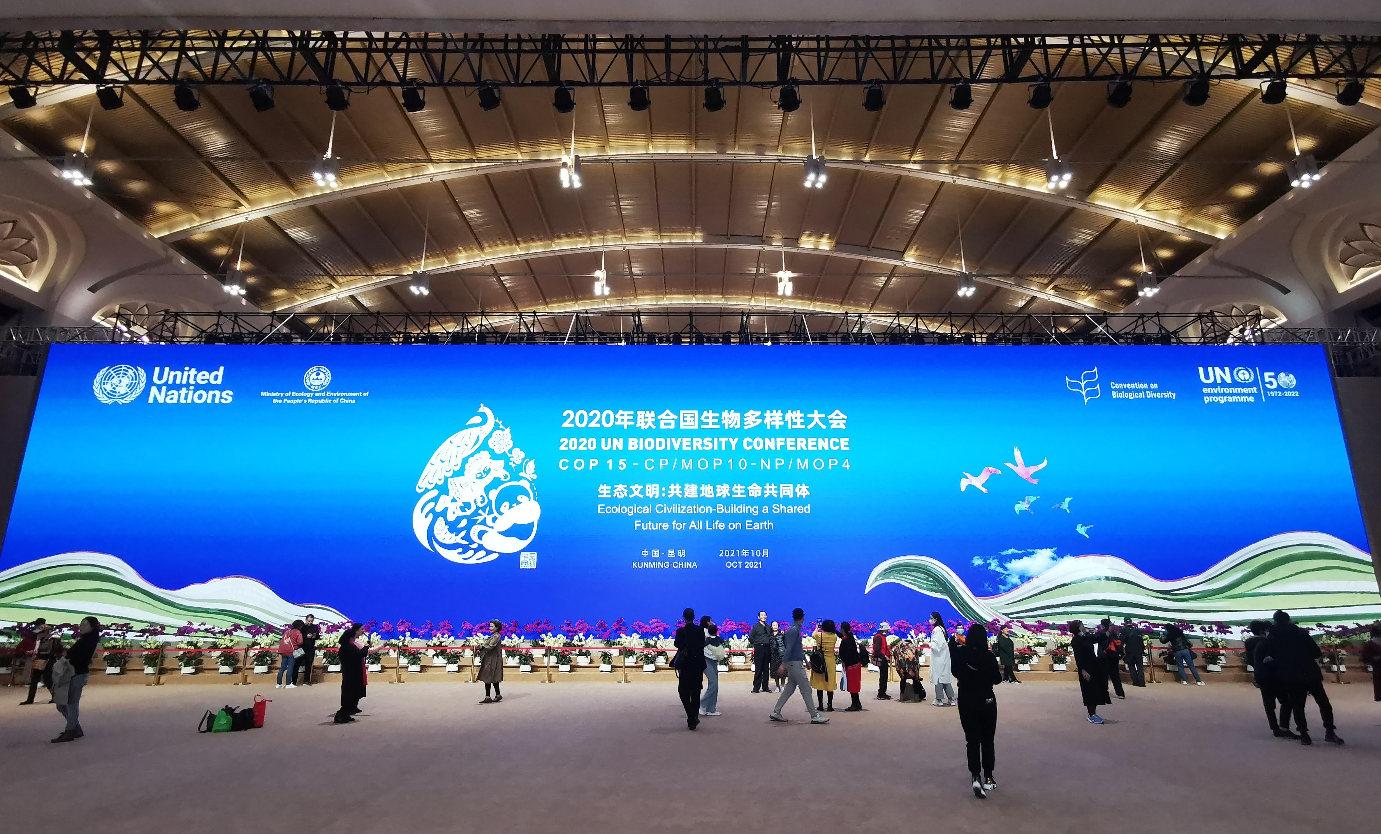 昆明滇池会展中心免费开放时间,昆明滇池国际会展中心是干嘛的